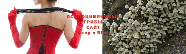 прущий лед Краснослободск