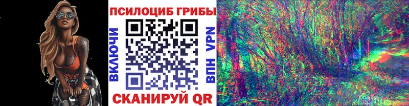 Псилоцибиновые грибы мицелий  Купить где  Пионерский 
